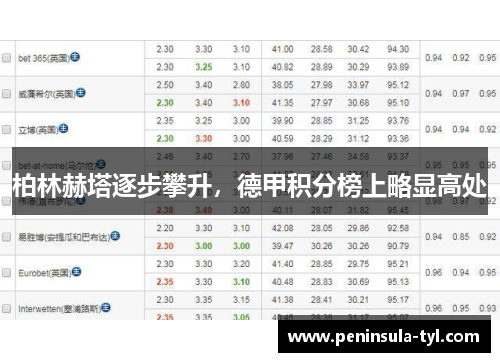 柏林赫塔逐步攀升，德甲积分榜上略显高处